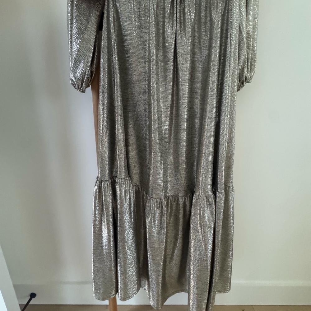Elegant Silver Evening Dress - Picture 4 of 5